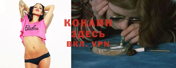 мдпв Майский