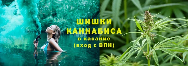 мдпв Майский